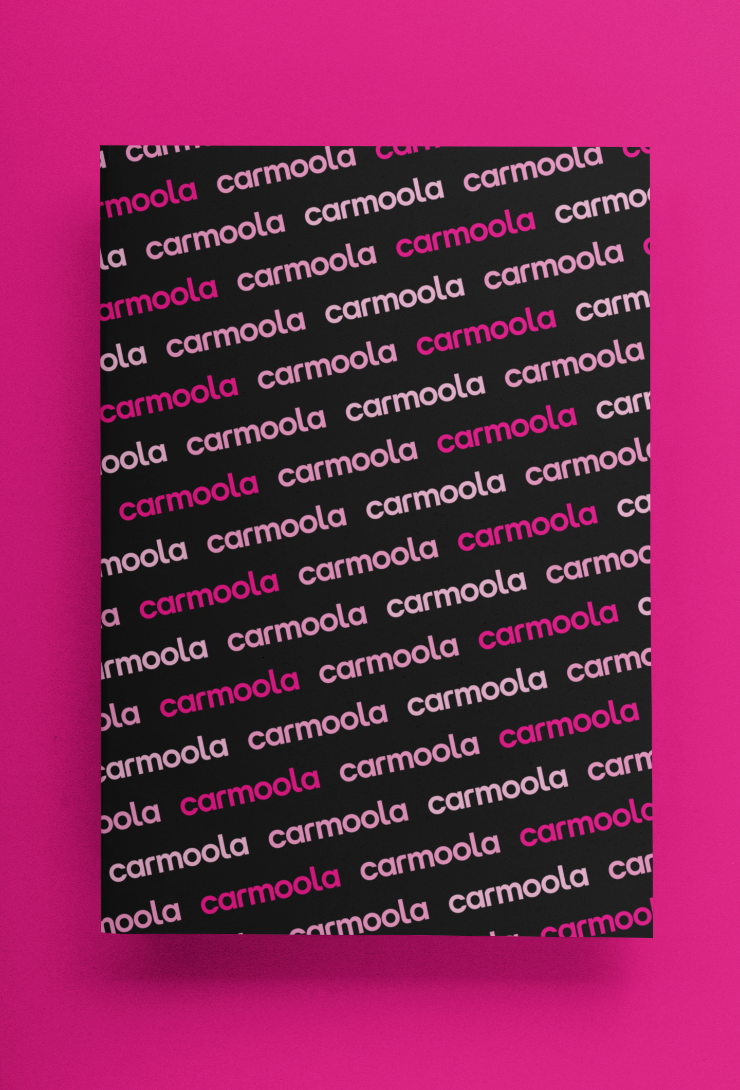 Carmoola Notebook